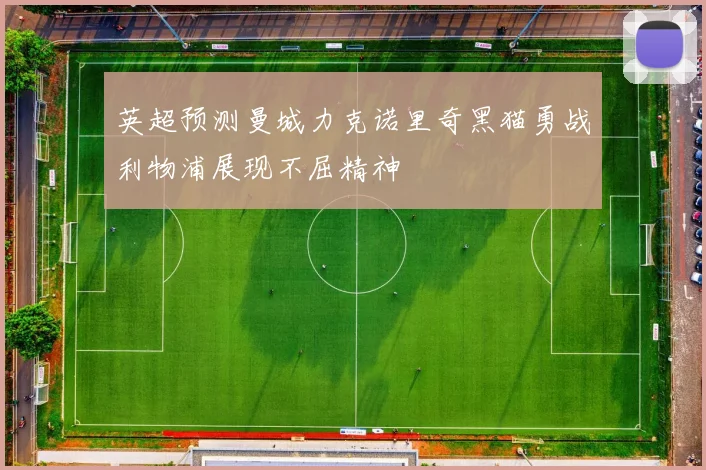 英超预测曼城力克诺里奇黑猫勇战利物浦展现不屈精神