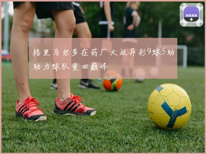 格里马尔多在药厂大放异彩9球5助助力球队重回巅峰